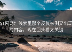 51网网址线索里那个反复被删又出现的内容，现在回头看太关键