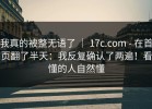 我真的被整无语了 ｜ 17c.com - 在首页翻了半天：我反复确认了两遍！看懂的人自然懂