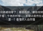 别再被绕晕了｜蘑菇视频，蘑菇视频下载｜午休的时候——关键点居然在这里…？看懂的人自然懂
